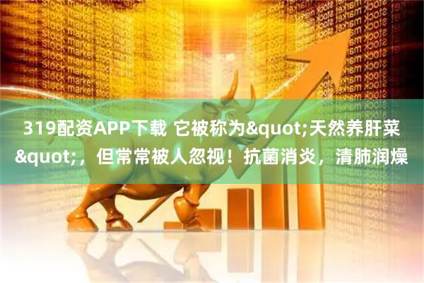 319配资APP下载 它被称为&quot;天然养肝菜&quot;，但常常被人忽视！抗菌消炎，清肺润燥