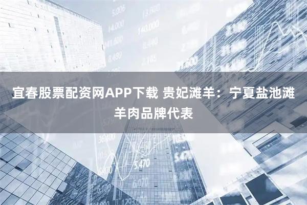 宜春股票配资网APP下载 贵妃滩羊：宁夏盐池滩羊肉品牌代表