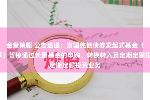 金夆策略 公告速递：富国纯债债券发起式基金（C类份额）暂停通过长量基金的申购、转换转入及定期定额投资业务