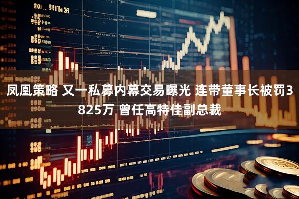 凤凰策略 又一私募内幕交易曝光 连带董事长被罚3825万 曾任高特佳副总裁