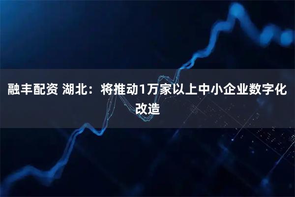融丰配资 湖北：将推动1万家以上中小企业数字化改造