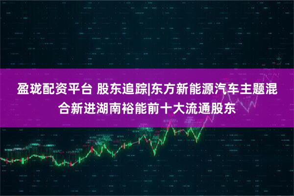 盈珑配资平台 股东追踪|东方新能源汽车主题混合新进湖南裕能前十大流通股东